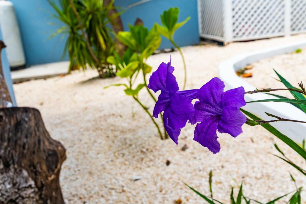 Saunders 3bd Holiday home Nassau